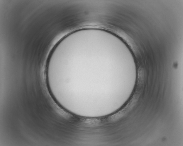 X0000116321466201001130953