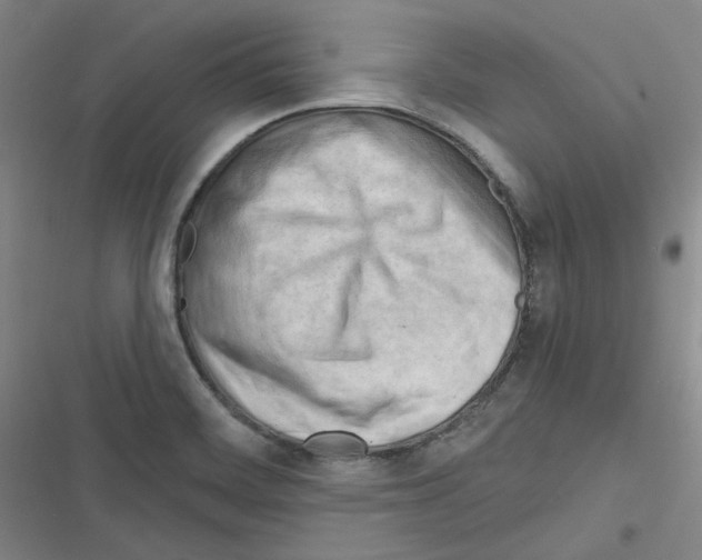 X0000116321468201001130953