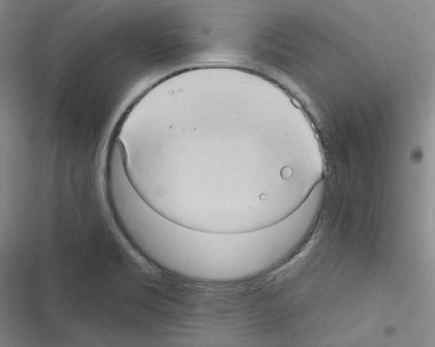 X0000116321469201001130953