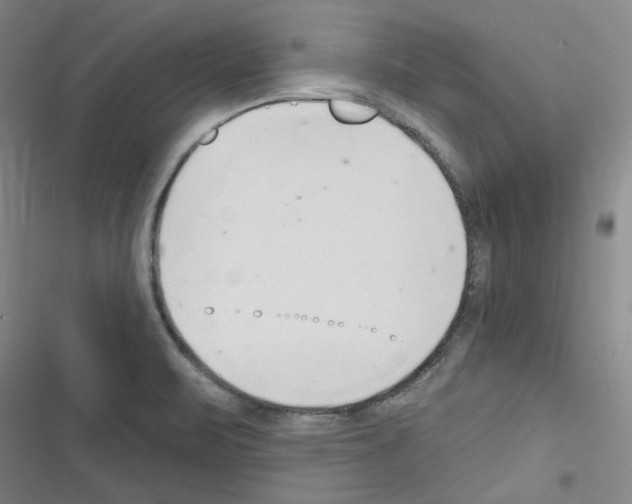 X0000116321471201001130953