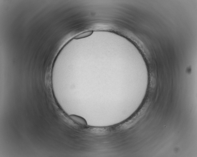 X0000116321473201001130953