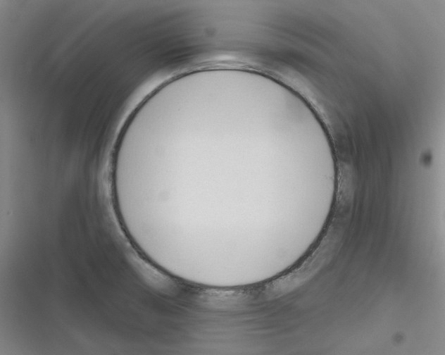 X0000116321474201001130953