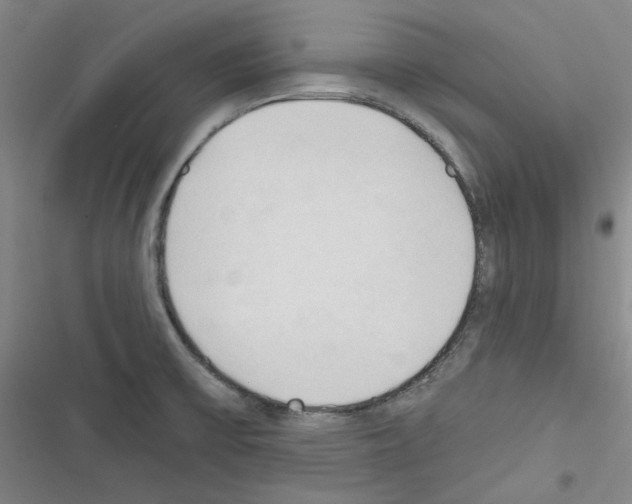 X0000116321475201001130953