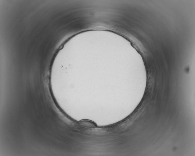 X0000116321476201001130953