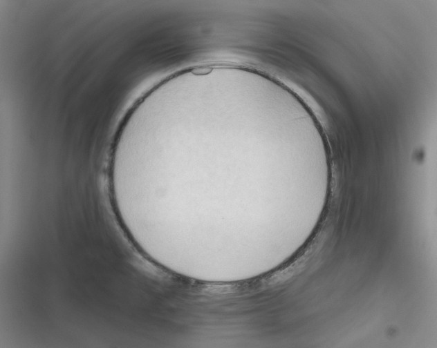 X0000116321477201001130953