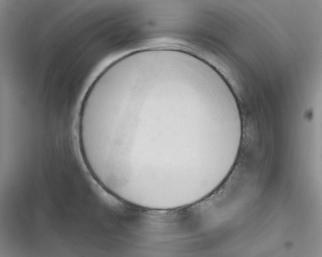 X0000116321478201001130953