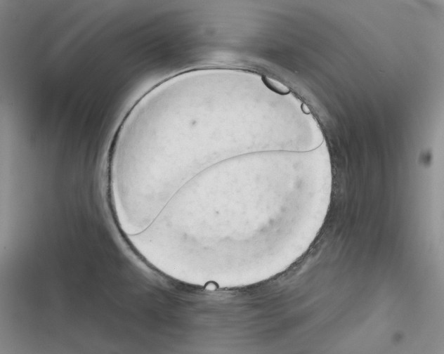 X0000116321479201001130953