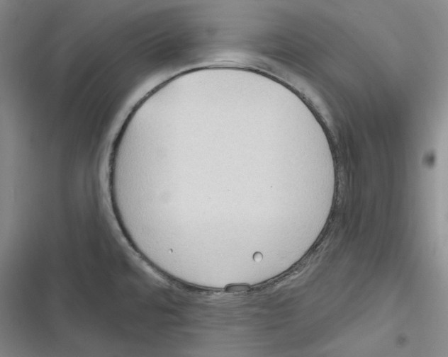 X0000116321480201001130953