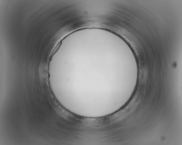 X0000116321481201001130953