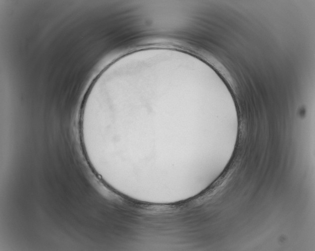 X0000116321482201001130953