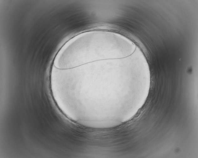 X0000116321483201001130953