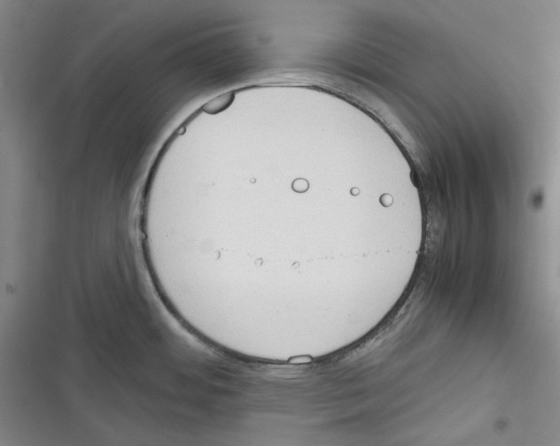 X0000116321484201001130953