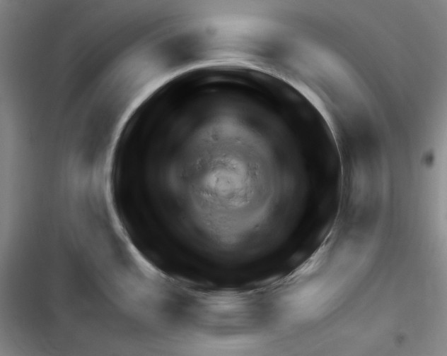 X0000116321485201001130953