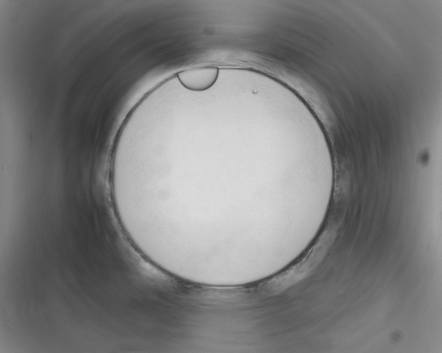 X0000116321486201001130953