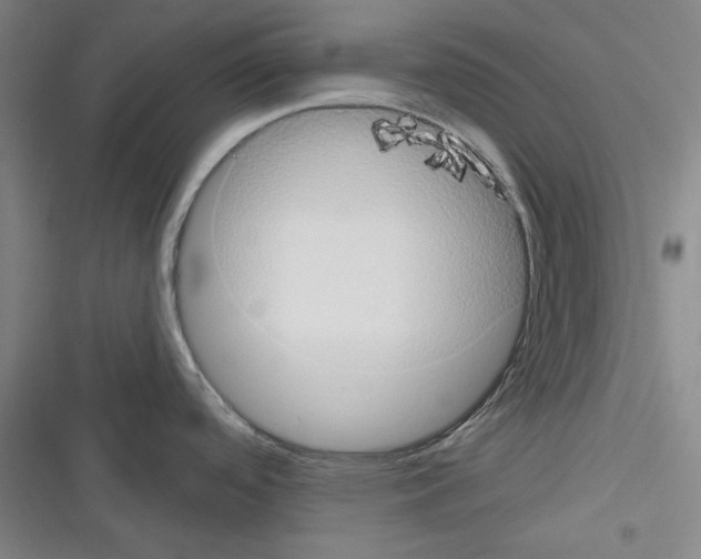 X0000116321488201001130953