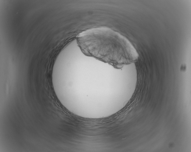 X0000116321489201001130952