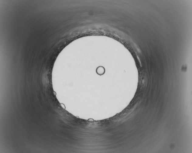 X0000116321490201001130952