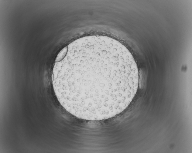 X0000116321491201001130952