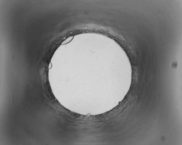 X0000116321493201001130952