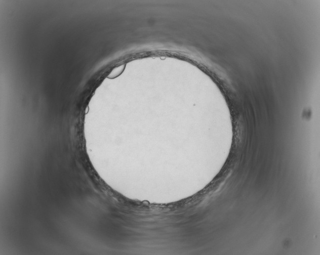 X0000116321494201001130952