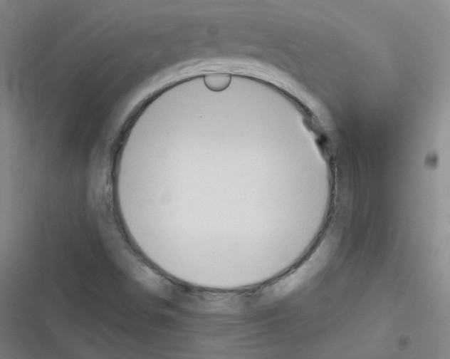 X0000116321498201001130952