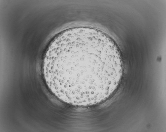 X0000116321499201001130952