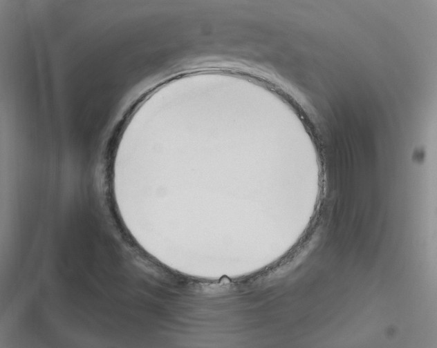 X0000116321501201001130952