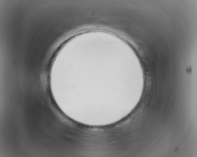 X0000116321503201001130952