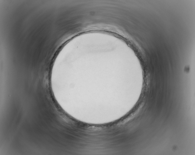 X0000116321505201001130952