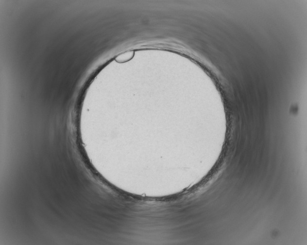 X0000116321506201001130952