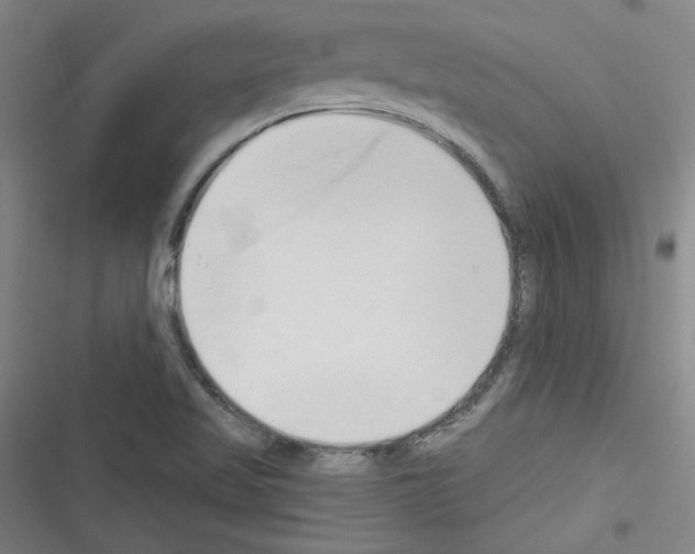 X0000116321509201001130952