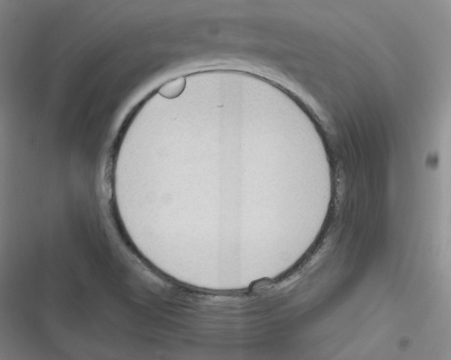 X0000116321510201001130952