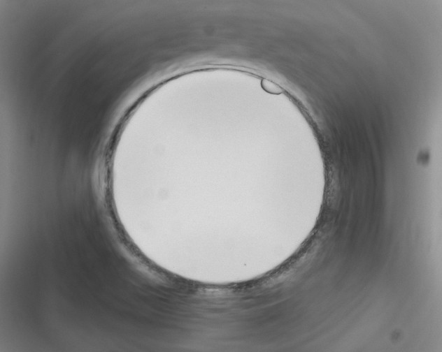 X0000116321511201001130952