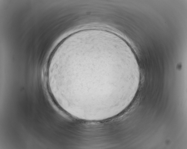 X0000116321515201001130953