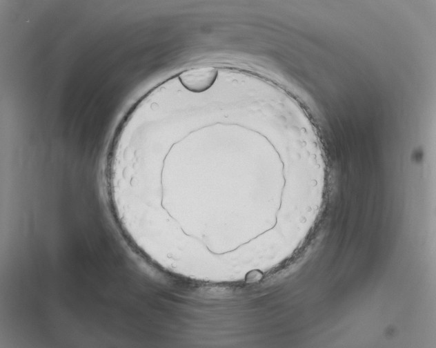 X0000116321517201001130953