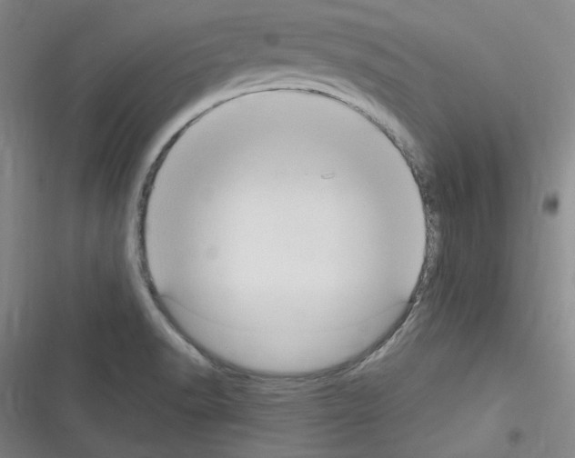 X0000116321518201001130953