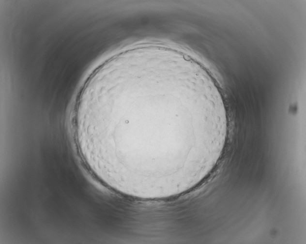 X0000116321519201001130953