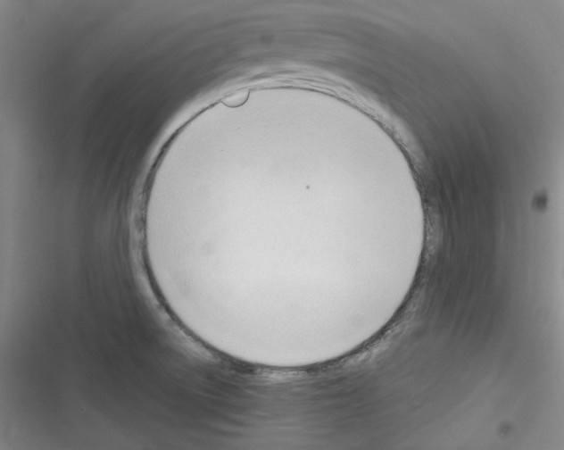 X0000116321522201001130953