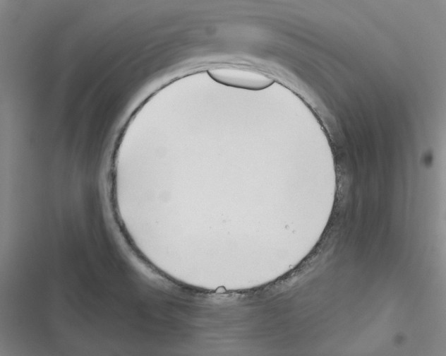 X0000116321523201001130953