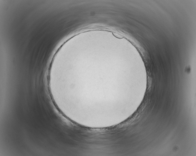 X0000116321527201001130953