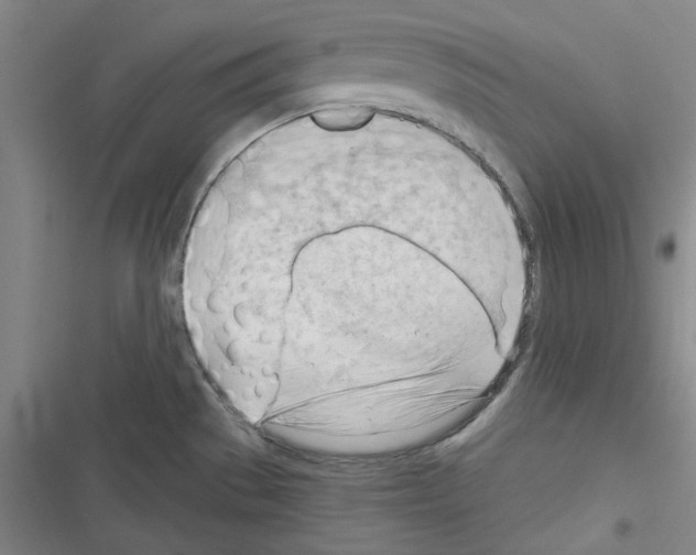 X0000116321529201001130953