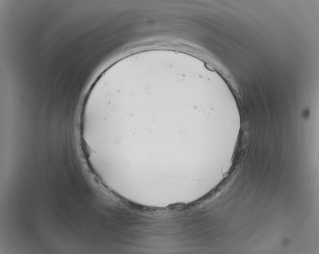 X0000116321530201001130953