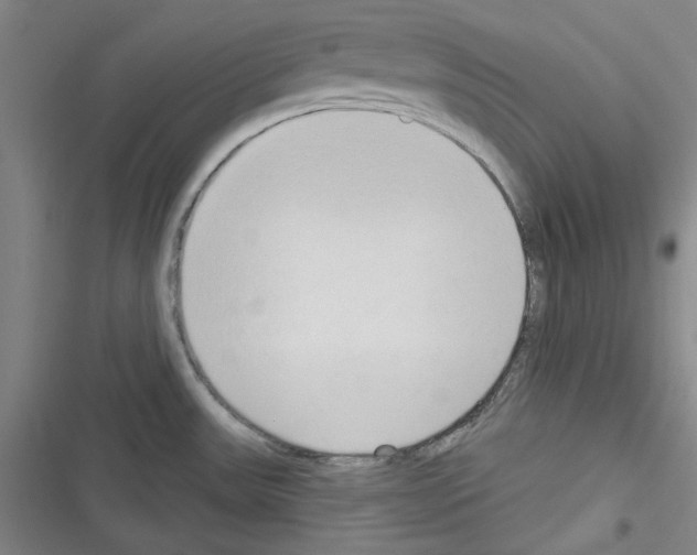 X0000116321531201001130953