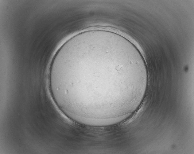 X0000116321533201001130953