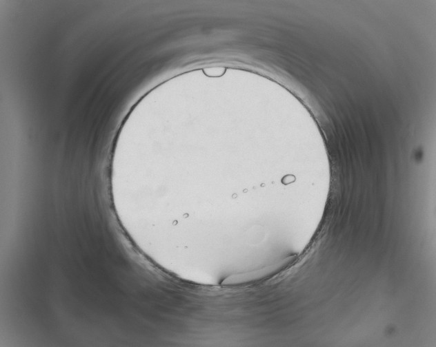 X0000116321534201001130953