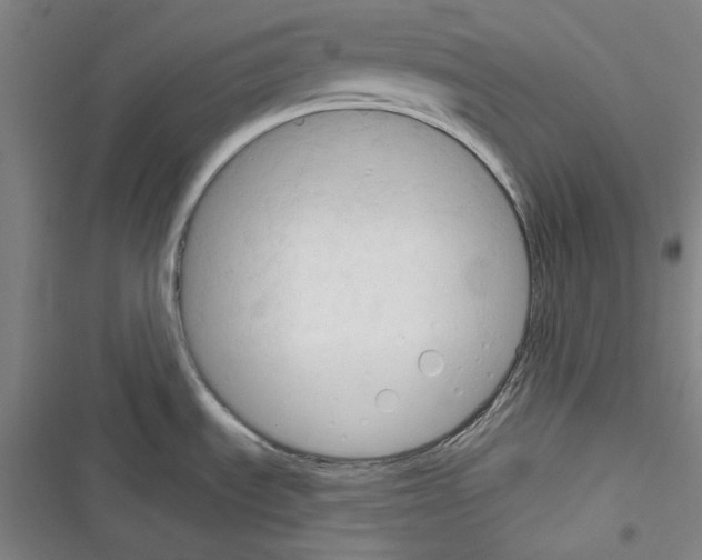 X0000116321535201001130953