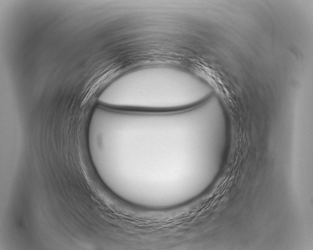 X0000116330001200912011014