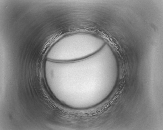 X0000116330002200912011014
