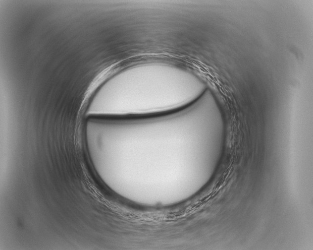 X0000116330004200912011014