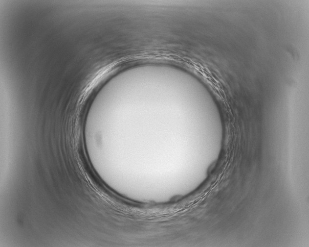 X0000116330005200912011014